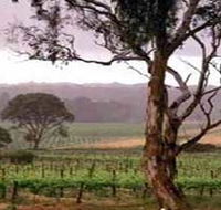 Yangarra Estate Vineyard - Holiday Find