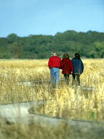 Onkaparinga River Recreation Park - Holiday Find 0
