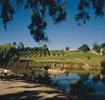 Mount Hurtle Winery home of Geoff Merrill Wines - Holiday Find