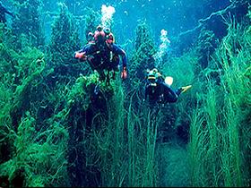 Mingbool SA Holiday Find