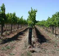 Temple Bruer Winery - Holiday Find