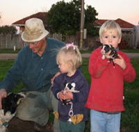 Orrie Cowie Merino and Poll Merino Stud - Holiday Find