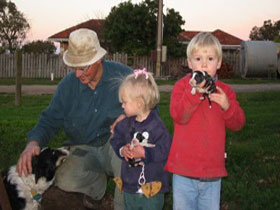 Orrie Cowie Merino And Poll Merino Stud - Holiday Find 0