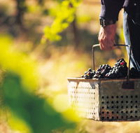 Burge Family Winemakers - Holiday Find