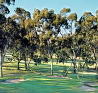 Tanunda Pines Golf Club - Holiday Find
