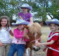 Amberainbow Pony Rides - Holiday Find
