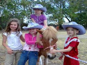 Amberainbow Pony Rides - Holiday Find 0