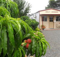 Gully Gardens
