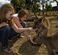 Kangaroo Island Wildlife Park - Holiday Find