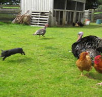 Echo Farm - Holiday Find