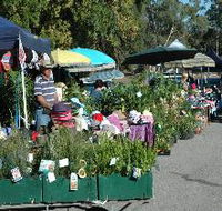 Meadows Monthly Market - Holiday Find