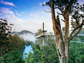 Desolation Bay TAS Holiday Find