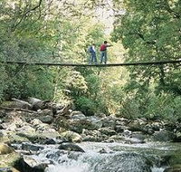 Arve Forest Drive - Holiday Find