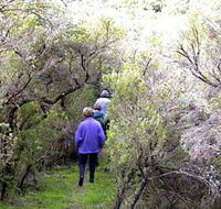 Jack And Hilda McArthur Walk - Holiday Find