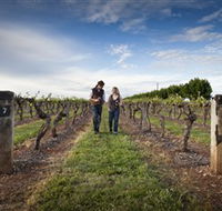 Coonawarra Wineries Walking Trail - Holiday Find