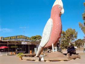 The Big Galah - Holiday Find 0