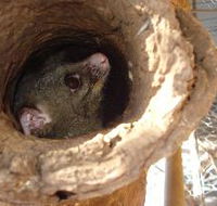 Mulga Sanctuary and Wildlife Park - Holiday Find