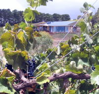 Zimmermann Wine - Holiday Find