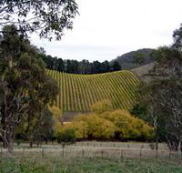 Mt Bera Vineyards - Holiday Find
