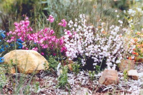 Stokes Bay Bush Garden - Holiday Find 0