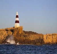 The Obelisk - Holiday Find