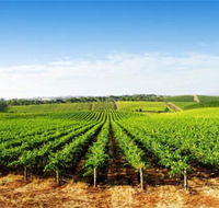 Aldinga Bay Winery - Holiday Find