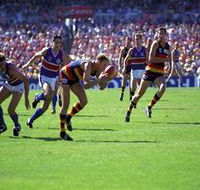 AAMI Stadium Tours - Holiday Find