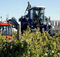 Ballast Stone Estate Wines Pty Ltd - Holiday Find