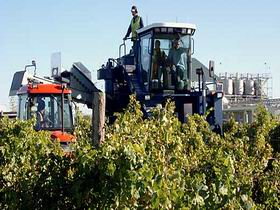 Ballast Stone Estate Wines Pty Ltd - Holiday Find 0