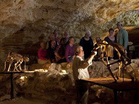 Naracoorte Caves National Park - Holiday Find 0