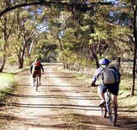 Bike About Mountain Bike Tours And Hire - Holiday Find