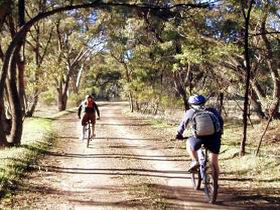 Bike About Mountain Bike Tours And Hire - Holiday Find 0