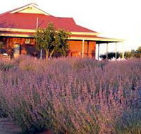 Bella Lavender Estate - Holiday Find