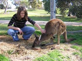 Makin SA Holiday Find