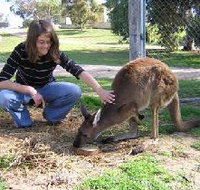 Pendleton Farmstay - Holiday Find