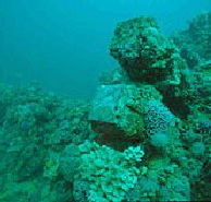 Adelaide's Underwater Heritage Trail - Holiday Find