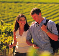 Lady Bay Vineyard - Holiday Find