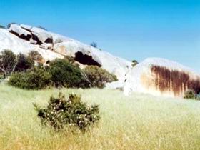 Ucontitchie Hill - Holiday Find 0