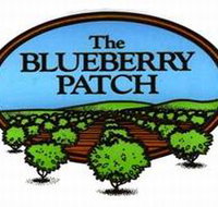 The Blueberry Patch - Holiday Find