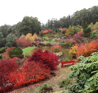 Emu Valley Rhododendron Garden - Holiday Find