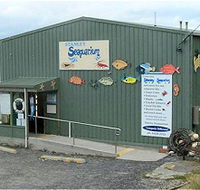 Stanley Seaquarium - Holiday Find