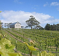 Bruny Island Premium Wines Bar and Grill - Holiday Find