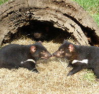 Wing's Wildlife Park - Holiday Find