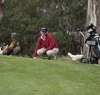 Tasmania Golf Club - The - Holiday Find
