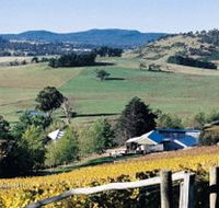 Freycinet Vineyards Pty Ltd - Holiday Find