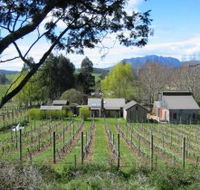 Wilmot Hills Vineyard - Holiday Find