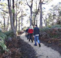 Bridport Walking Track - Holiday Find