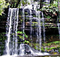 Mt Field National Park - Holiday Find