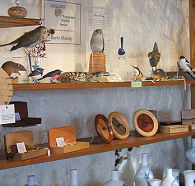 Touchwood Craft Gallery Gifts and Cafe - Holiday Find