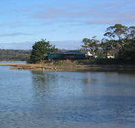 Salty Seas - Holiday Find